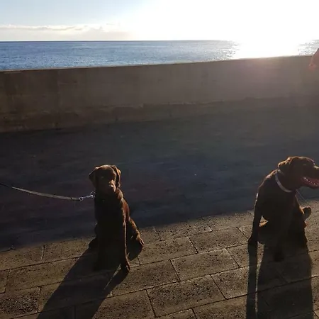 Mansion Almond - Sea, Sun And A Charming Refuge! بول دو مار