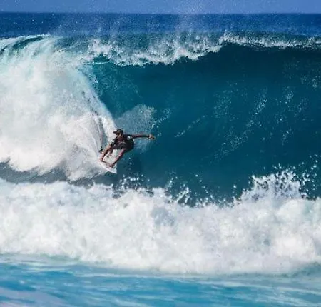 Mansion Almond - Sea, Sun And A Charming Refuge! Villa Paul do Mar (Madeira)