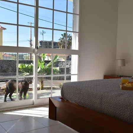 Villa Mansion Almond - Sea, Sun And A Charming Refuge! Paul do Mar (Madeira)