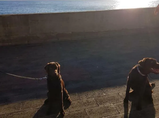 Mansion Almond - Sea, Sun And A Charming Refuge! Paul do Mar (Madeira)