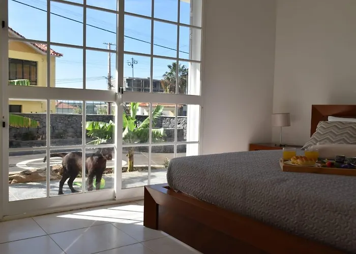 ヴィラ Mansion Almond - Sea, Sun And A Charming Refuge! ポール・ド・マール